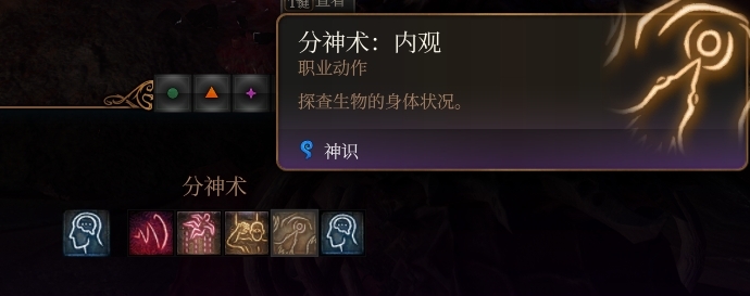 分神术：内观